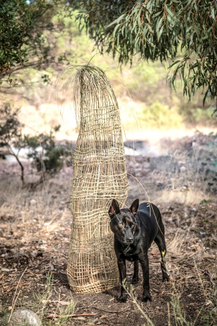 CurrentWorks3D1stMattNettheimLifeOfProfessorGarthNettheirm