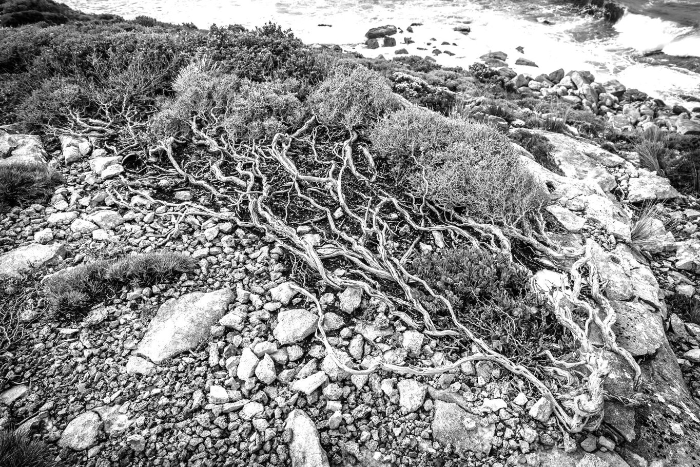 Photography1stQuentinChesterEdgeLiving